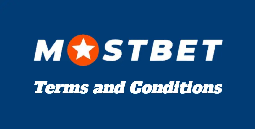 Terms and Conditioins Logo